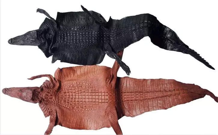 鳄鱼皮包包的优点和缺点，哪个定制品牌好？